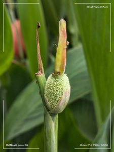 IMG_20250730_155729268_HDR