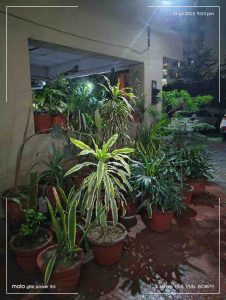 IMG_20250731_210306394_HDR