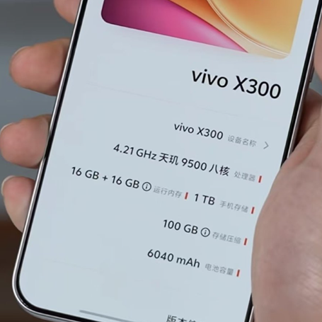 Vivo X300 and X300 Pro battery details. (Image credit - @ZionsAnvin on X)