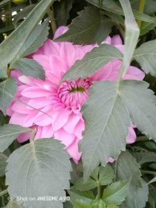 IMG_20251104_225938_084