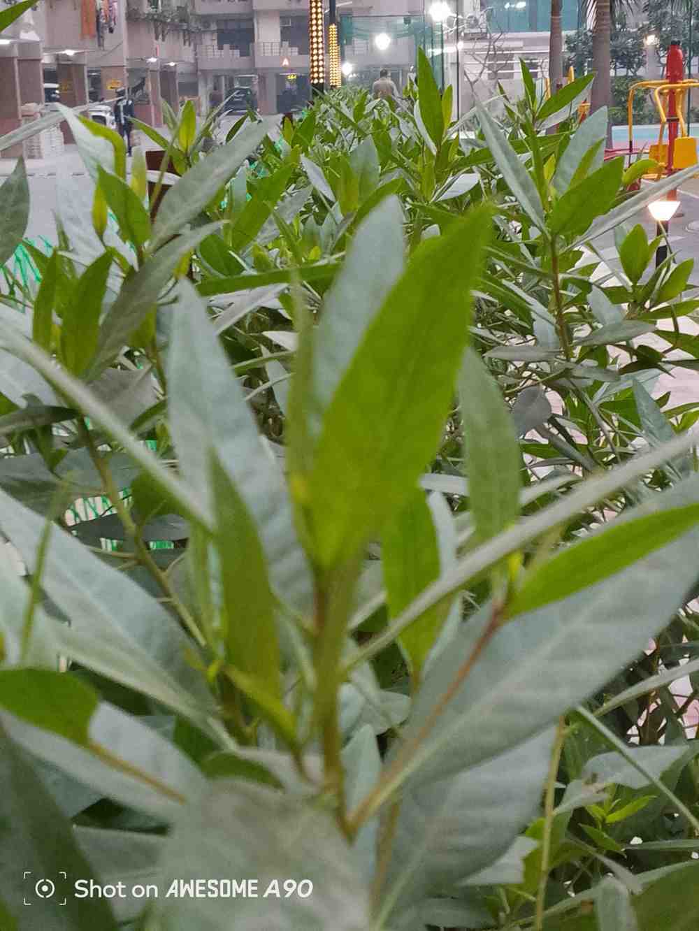 IMG_20251104_231324_330