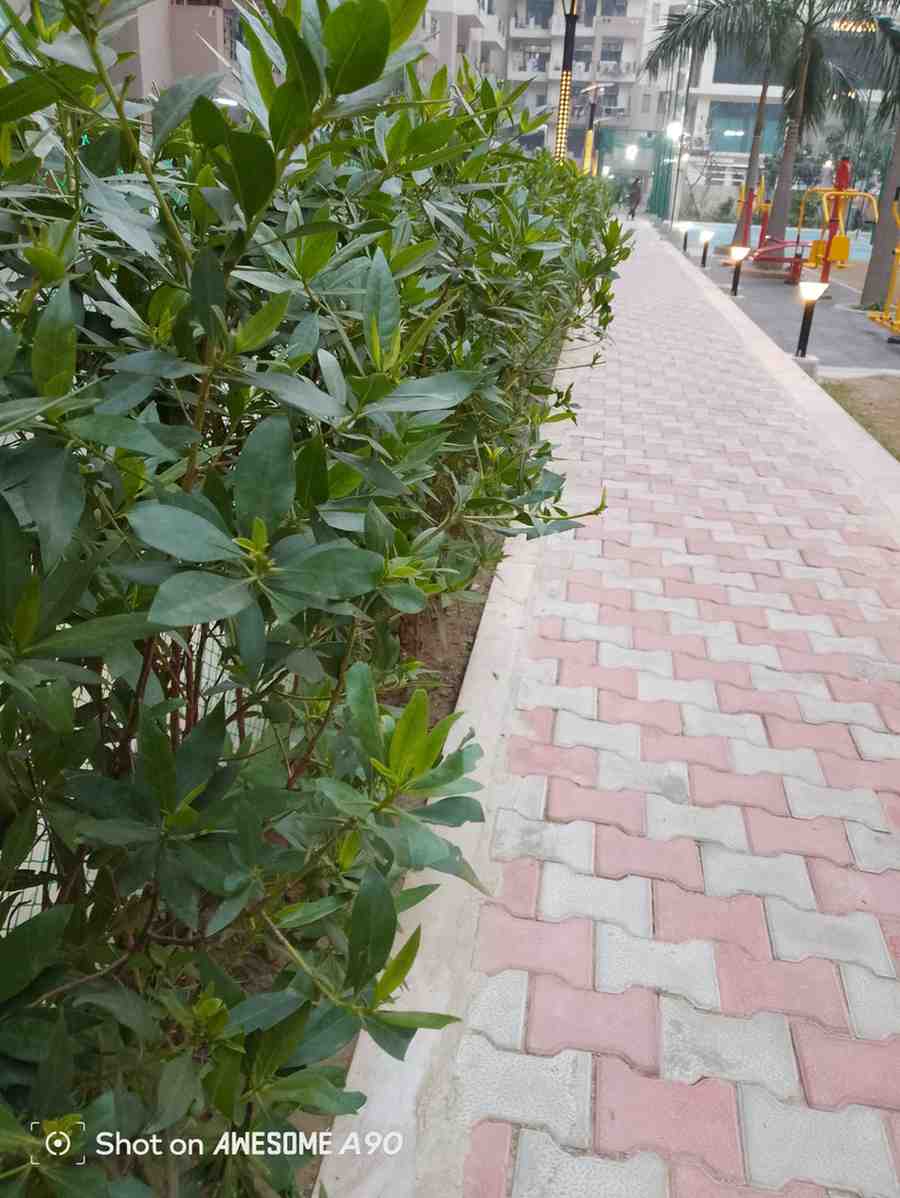 IMG_20251104_231341_944