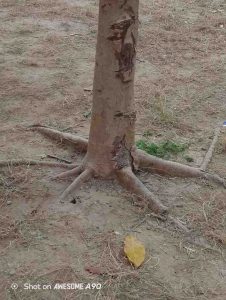 IMG_20251104_231514_054