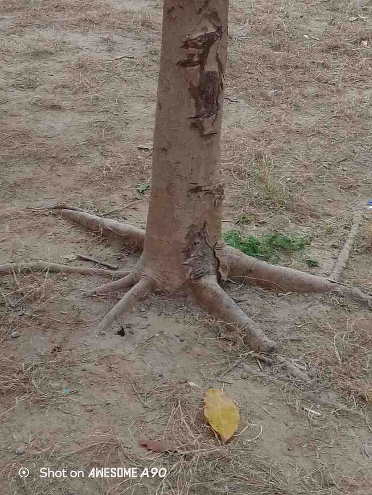 IMG_20251104_231514_054