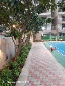 IMG_20251104_232545_938