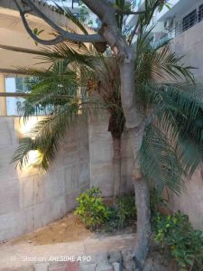 IMG_20251104_232625_531