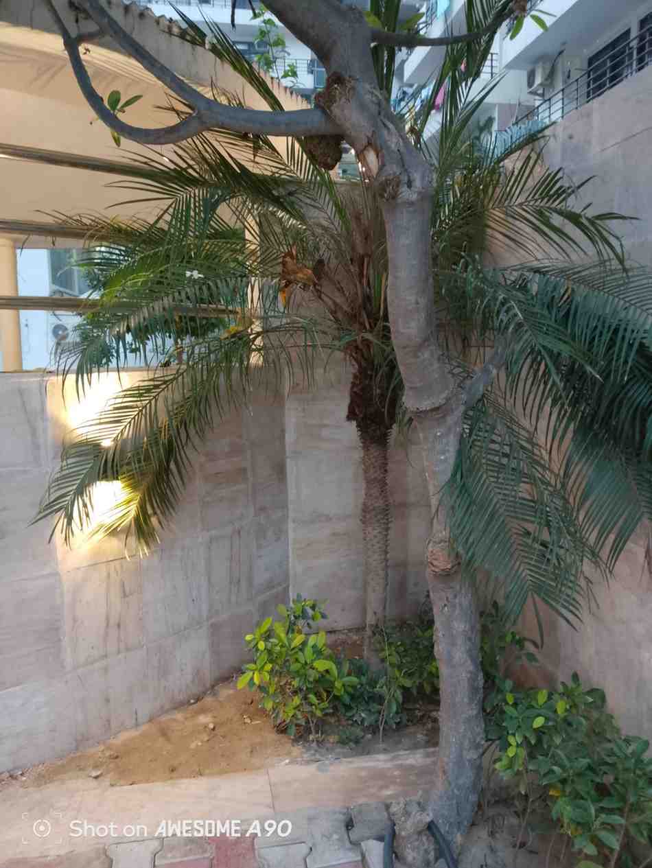 IMG_20251104_232625_531