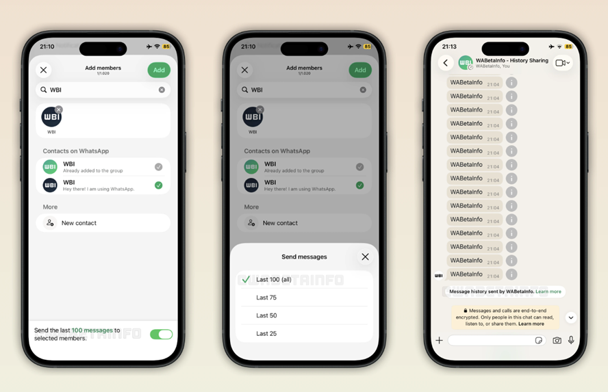 The feature has been spotted in a recent WhatsApp for iOS update. (Screenshot by WABetainfo)