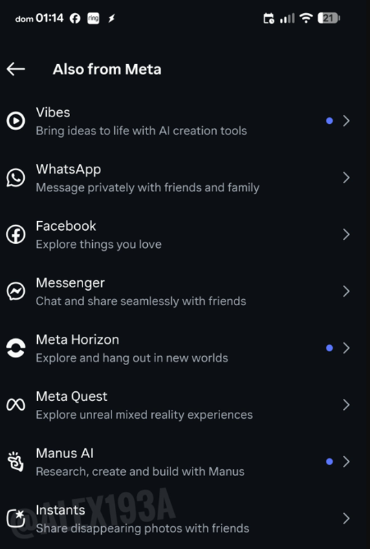 Screenshot shared by developer Alessandro Paluzzi.