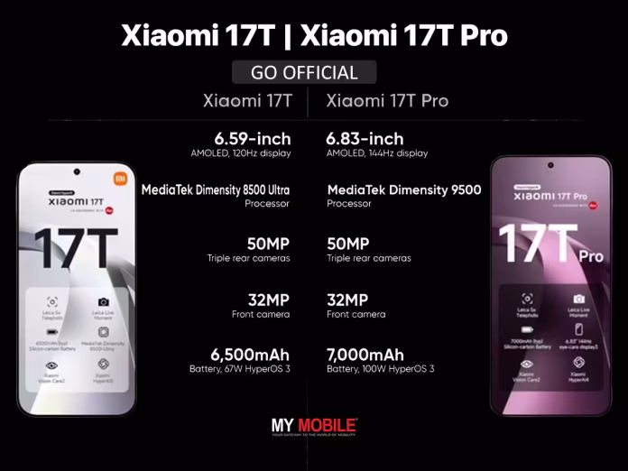 xiaoan (1)
