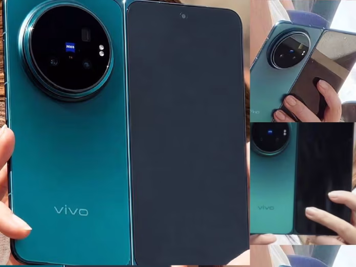 vivo