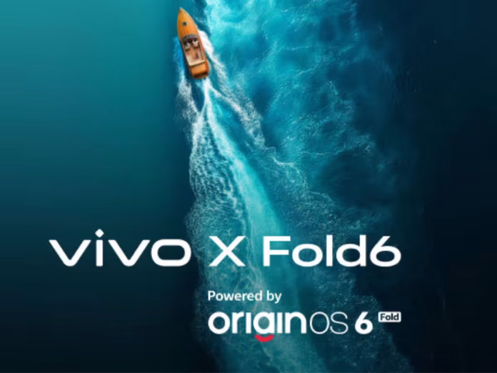 vivox-fold6