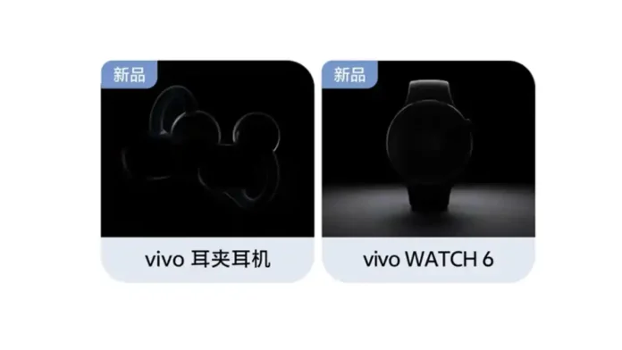 vivo-watch
